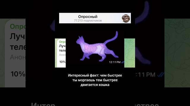 Лучший видеопранк на экране телефона? Лучший видеопранк на экране телефона?