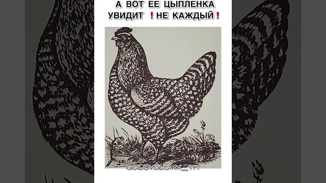 Тест на внимательность найдите цыплят в комментариях #психология #искусство #психофакт #юмор Тест на внимательность найдите цыплят в комментариях #психология #искусство #психофакт #юмор