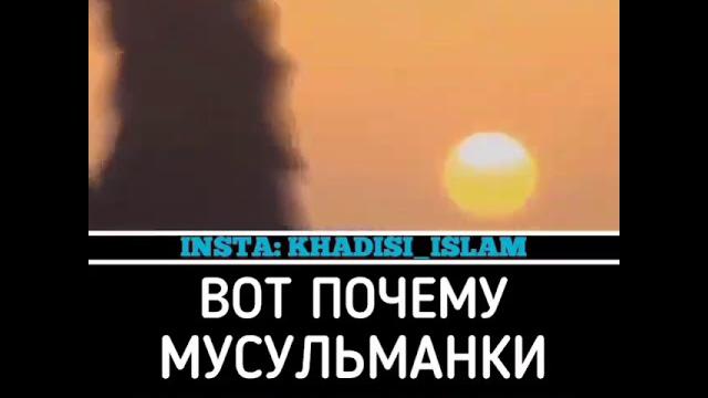 Почему мусульмане носят хиджаб Почему мусульмане носят хиджаб