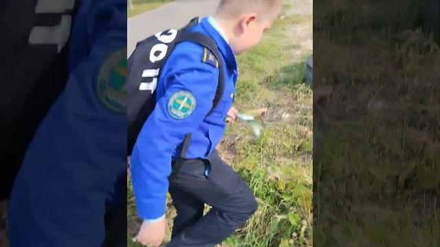 как какать в лесу или в ночном городе как какать в лесу или в ночном городе