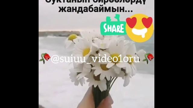 Короткие видео про Любовь Короткие видео про Любовь