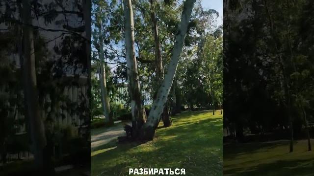 Музыкальный парк Батуми #батуми #видео #грузия #travel #иммиграция #пленка #сакартвело #съёмка Музыкальный парк Батуми #батуми #видео #грузия #travel #иммиграция #пленка #сакартвело #съёмка