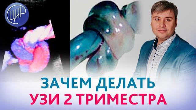 Ультразвуковой скрининг 2 триместра. Когда и с какой целью делается скрининг 2 триместра. Ультразвуковой скрининг 2 триместра. Когда и с какой целью делается скрининг 2 триместра.