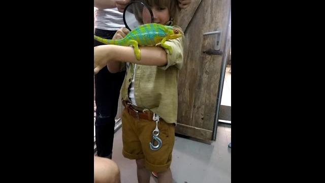 Знакомство с хамелеоном! Знакомство с хамелеоном!