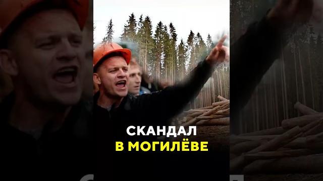Скандал в Могилёве / Новости #могилев #лесопарк #лесопарк #вырубка #храм #церковь #чиновники Скандал в Могилёве / Новости #могилев #лесопарк #лесопарк #вырубка #храм #церковь #чиновники