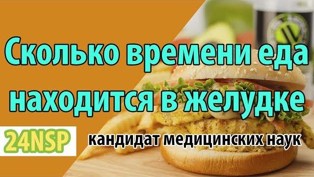 Сколько времени пища находится в желудке? Сколько времени пища находится в желудке?