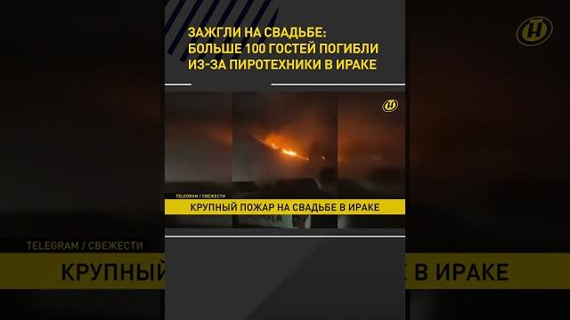 Жесть! В Ираке из-за пиротехники на свадьбе погибли 100 человек, каждый второй пострадал #shorts Жесть! В Ираке из-за пиротехники на свадьбе погибли 100 человек, каждый второй пострадал #shorts