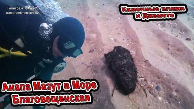 Анапа Мазут в Море в Благовещенская На Бугазской косе. Каменные пляжи в мазуте. Джемете 2025 Анапа Мазут в Море в Благовещенская На Бугазской косе. Каменные пляжи в мазуте. Джемете 2025