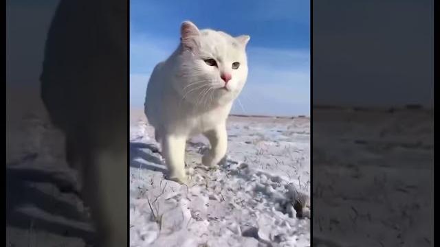 Зачем мне солнце в Монако. Зачем мне солнце в Монако.