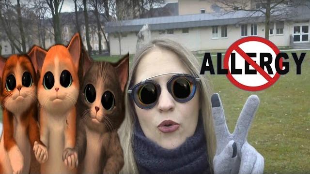 Аллергия на КОШЕК. Что делать? Как избавиться? Аллергия на КОШЕК. Что делать? Как избавиться?