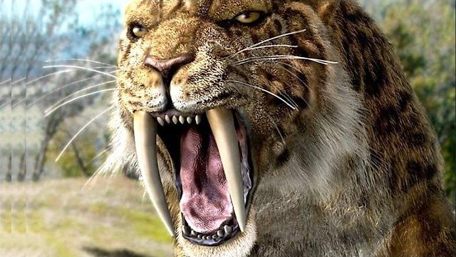 5 Невероятных вымерших чудовищ 5 Невероятных вымерших чудовищ