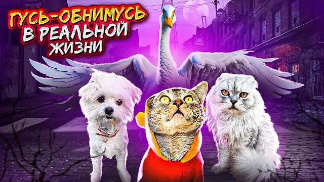 ГУСЬ-ОБНИМУСЬ В РЕАЛЬНОЙ ЖИЗНИ | КОШАЧЬЯ ИСТОРИЯ УЖАСОВ ГУСЬ-ОБНИМУСЬ В РЕАЛЬНОЙ ЖИЗНИ | КОШАЧЬЯ ИСТОРИЯ УЖАСОВ