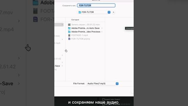 ⁉️ Как очистить голос в видео с помощью нейросети ⁉️#монтажвидео #уроки #adobe #premierepro ⁉️ Как очистить голос в видео с помощью нейросети ⁉️#монтажвидео #уроки #adobe #premierepro