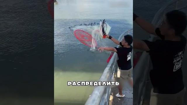 Идеальная РЫБАЛКА Идеальная РЫБАЛКА