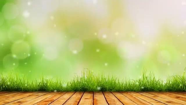 Футаж природа Футаж природа