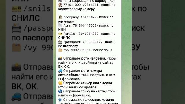пробить человека #мориарти #телеграм #бот пробить человека #мориарти #телеграм #бот