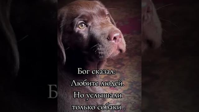 Они любят вопреки ️ Они любят вопреки ️