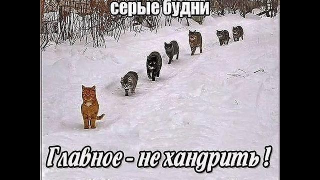 доброе воскресенье ! юмор позитив доброе воскресенье ! юмор позитив