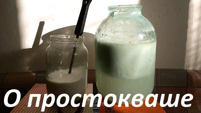 1334, простокваша, кислое,скисшее молоко, как приготовить, качество, польза, вместо сметаны, ЗОЖ, ПП 1334, простокваша, кислое,скисшее молоко, как приготовить, качество, польза, вместо сметаны, ЗОЖ, ПП