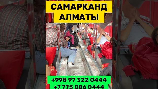 Самарканд Алматы спальный автобус #самарканд #алматы #автобусы #узбекистан #ozbekiston #uzbekistan Самарканд Алматы спальный автобус #самарканд #алматы #автобусы #узбекистан #ozbekiston #uzbekistan