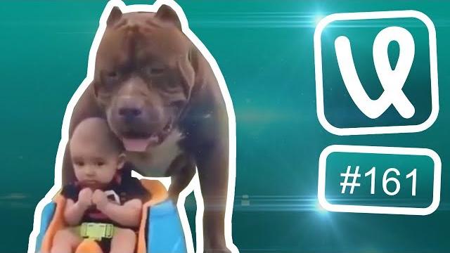 Лучшие ролики недели #161 Оставил сувенир на память! Лучшие ролики недели #161 Оставил сувенир на память!
