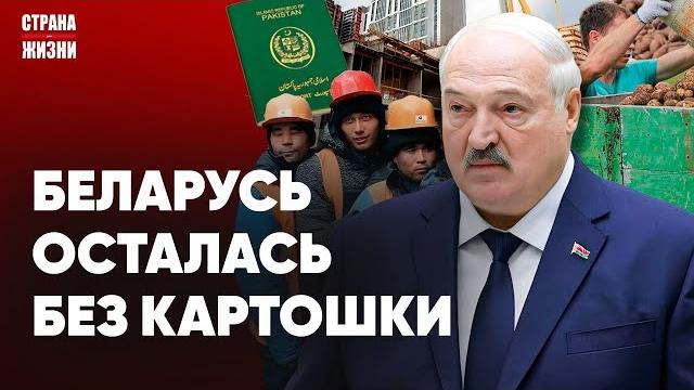 ЛУКАШЕНКО В ПАНИКЕ! Мигранты захватывают Беларусь. Перестрелка в Орше. Удары по территории России ЛУКАШЕНКО В ПАНИКЕ! Мигранты захватывают Беларусь. Перестрелка в Орше. Удары по территории России