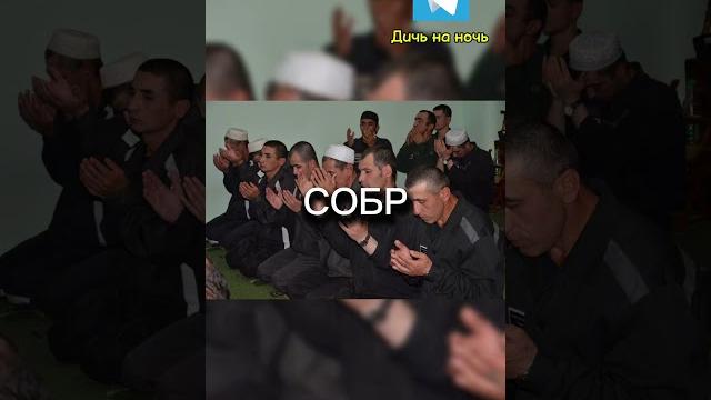 Захват ИК-19 в Волгограде итоги Захват ИК-19 в Волгограде итоги