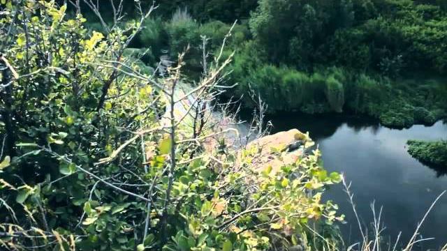 Красивые места Украины. Актовский каньон Красивые места Украины. Актовский каньон