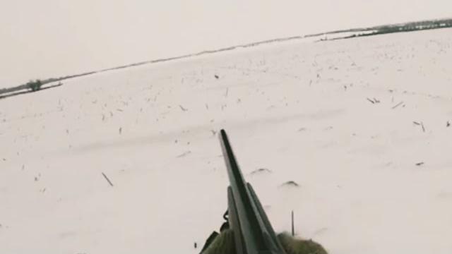 Охота на зайца зимой Охота на зайца зимой