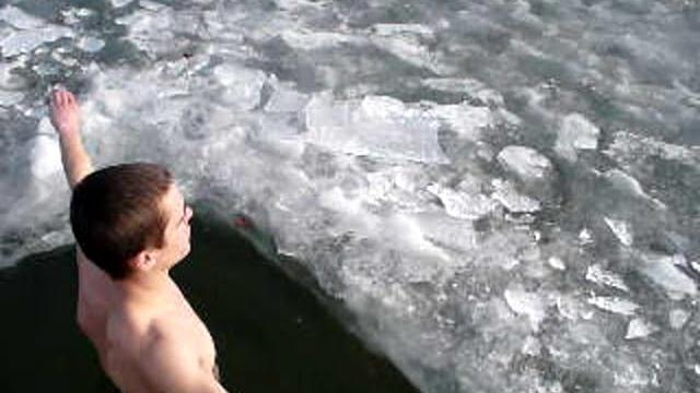Морж ушел под лед Морж ушел под лед