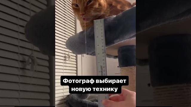 Слюни текут Слюни текут