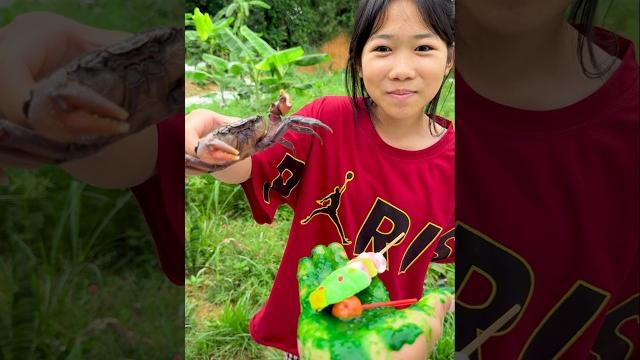 Funny Videos VS Viral Clips What's The REAL Difference #funny Funny Videos VS Viral Clips What's The REAL Difference #funny