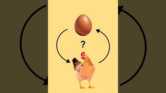 Курица или яйцо: что было раньше? Курица или яйцо: что было раньше?