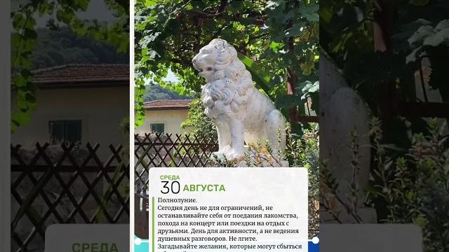 30 августа гороскоп для всех знаков зодиака. 30 августа гороскоп для всех знаков зодиака.