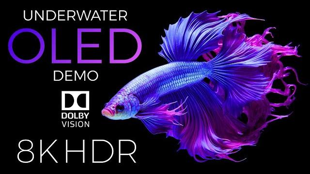Underwater World OLED Demo HDR 8K Ultra HD Dolby Vision™ 60fps Underwater World OLED Demo HDR 8K Ultra HD Dolby Vision™ 60fps