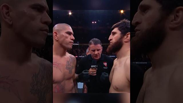 Ankalaev vs Alex #ufc #mma Ankalaev vs Alex #ufc #mma