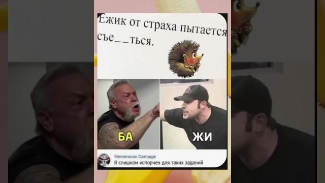 Бедный ёжик #мем#ёж#смех#слова#юмор Бедный ёжик #мем#ёж#смех#слова#юмор