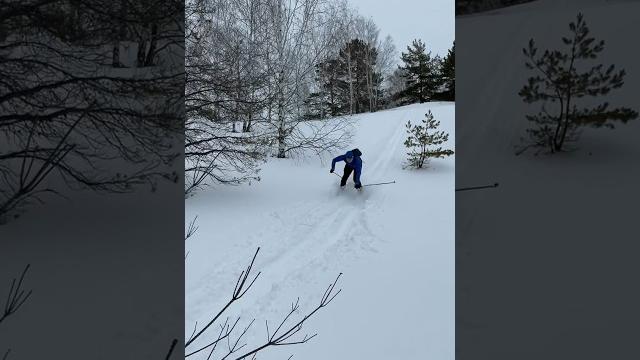 Сегодня ходили на лыжах на острова, был просто юмор, смех и веселье #юмор #смех #веселье Сегодня ходили на лыжах на острова, был просто юмор, смех и веселье #юмор #смех #веселье