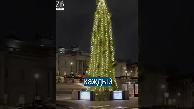 Спасибо, но не большое: Британцы в шоке от ГЛАВНОЙ ЁЛКИ ЛОНДОНА Спасибо, но не большое: Британцы в шоке от ГЛАВНОЙ ЁЛКИ ЛОНДОНА