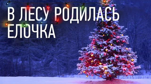 В лесу родилась Ёлочка - детская новогодняя песня! В лесу родилась Ёлочка - детская новогодняя песня!