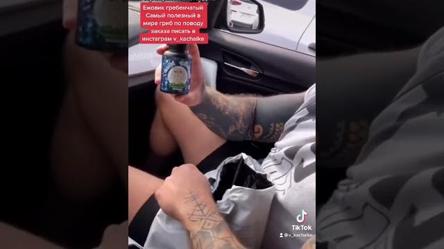 Ежовик гребенчатый полезные грибы Ежовик гребенчатый полезные грибы