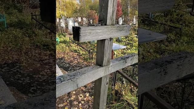 ПОРЧА НА МОГИЛЬНЫЕ ИГЛЫ ПОРЧА НА МОГИЛЬНЫЕ ИГЛЫ