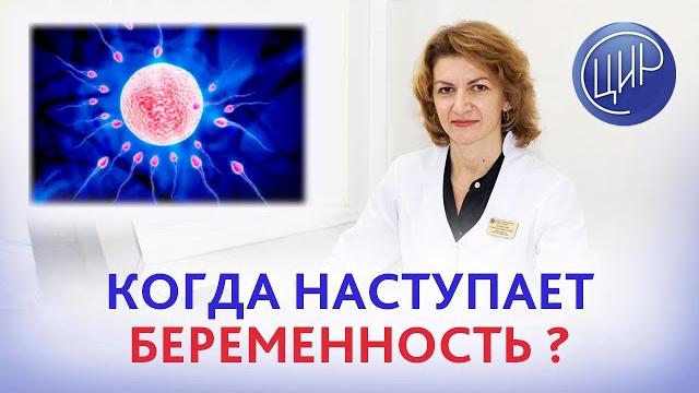 Овуляция и оплодотворение. Когда наступает беременность после овуляции? Дементьева С.Н. Овуляция и оплодотворение. Когда наступает беременность после овуляции? Дементьева С.Н.