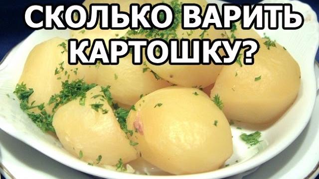 Сколько варить картошку. Сколько варится картошка Сколько варить картошку. Сколько варится картошка
