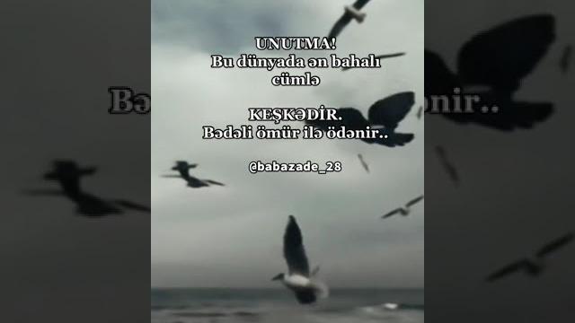 Whatsapp ucun maraqli,MƏNALI statuslar,status ucun videolar,QEMLİ WHATSAPP STATUSLARI 2023 Whatsapp ucun maraqli,MƏNALI statuslar,status ucun videolar,QEMLİ WHATSAPP STATUSLARI 2023