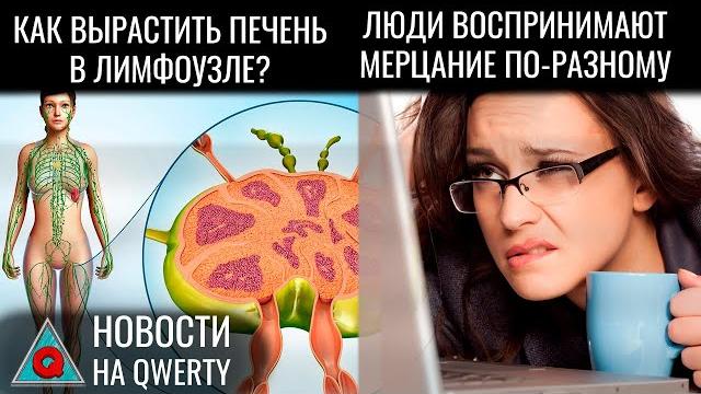 «Цикадогеддон» в США. Мини-печень вместо большой. Крупнейшая цифровая камера. Новости QWERTY №295 «Цикадогеддон» в США. Мини-печень вместо большой. Крупнейшая цифровая камера. Новости QWERTY №295
