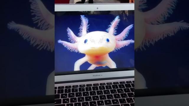 НОВЫЕ ИГРУШКИ ОТ БЛОПТОП НОВЫЕ ИГРУШКИ ОТ БЛОПТОП