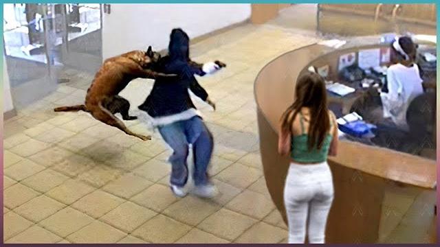 Животные СПАСАЮТ Людей! Топ 10 Животных Героев Спасших Жизни! Животные СПАСАЮТ Людей! Топ 10 Животных Героев Спасших Жизни!