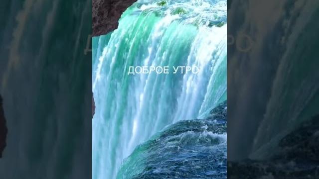 С ДОБРЫМ УТРОМ! ПОЗИТИВНОГО ДНЯ | DY-124 С ДОБРЫМ УТРОМ! ПОЗИТИВНОГО ДНЯ | DY-124
