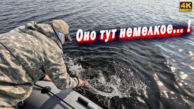 Оно тут немелкое. ЩУКА на спиннинг с лодки 2025 Оно тут немелкое. ЩУКА на спиннинг с лодки 2025
